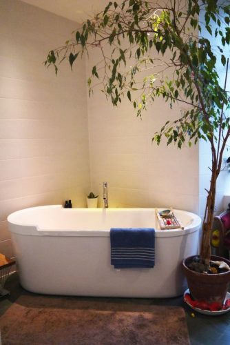 Adepte de la lumière, le ficus s'épanouira devant la fenêtre de la salle de bain.