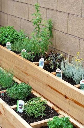 Des carrés bien définis pour un potager déco élégant et ordonné.