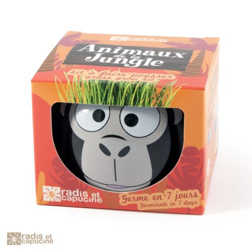 Kit à faire pousser pour une première expérience de jardinier