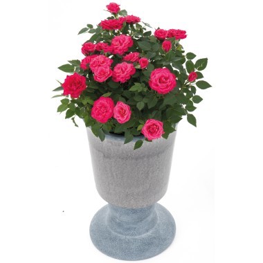 Vase en céramique blanc