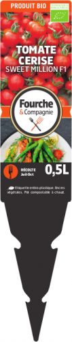 Kit de pied de tomates cerises