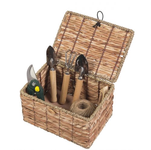 Pack d'outils pour semis