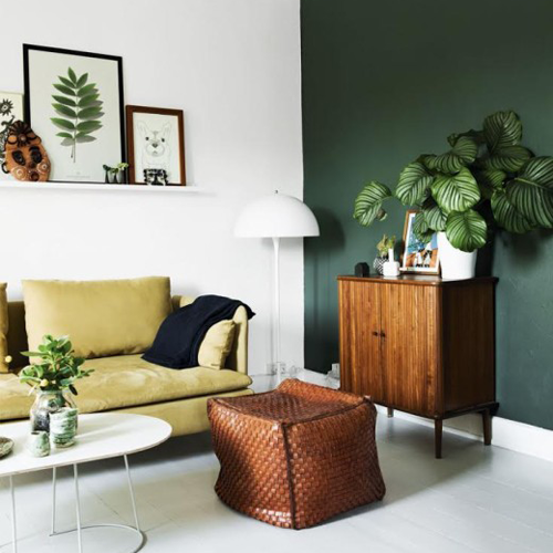 ambiance salon green