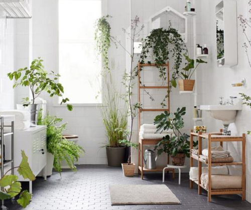 des plantes pour une touche de verdure jusque dans la salle de bains
