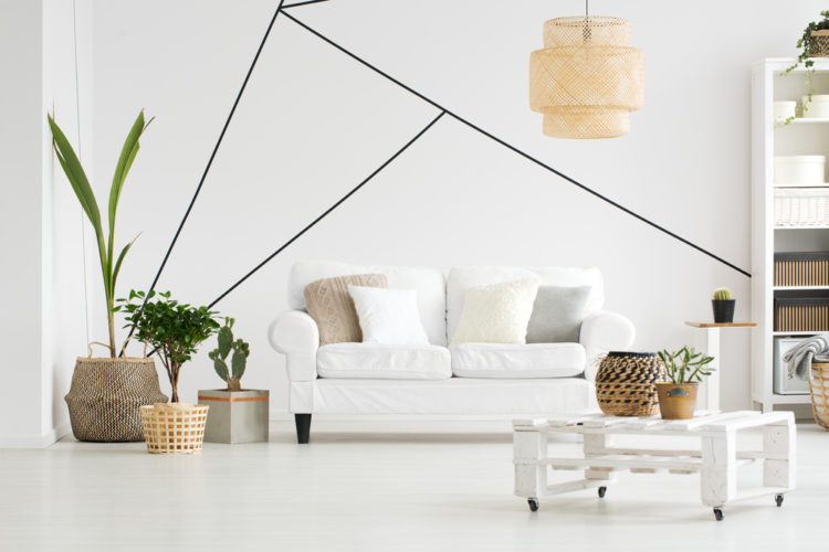 Quelles plantes adopter chez soi