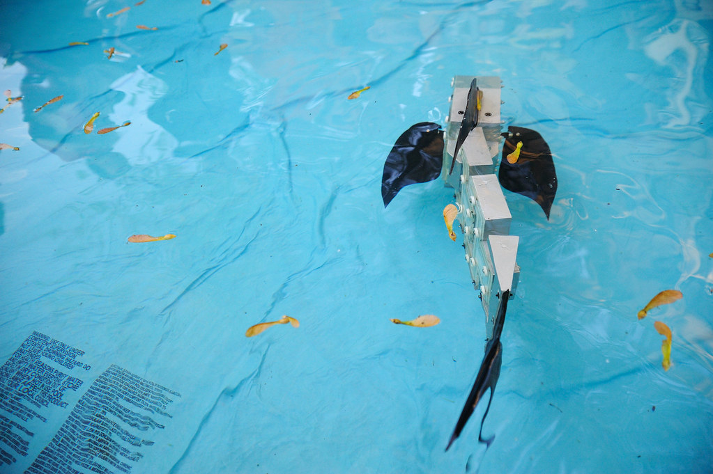 Robot piscine
