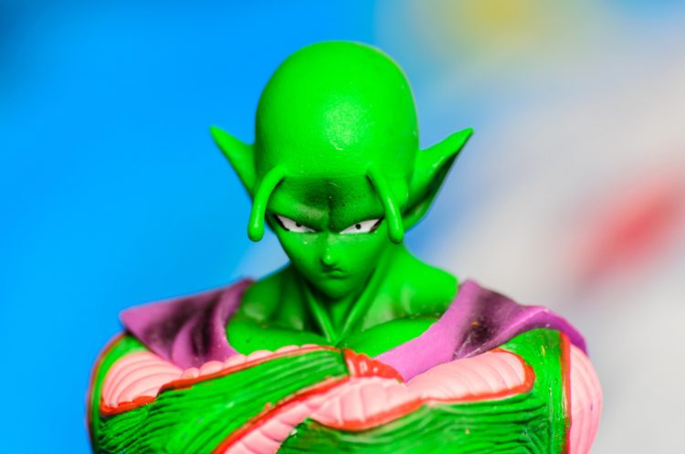 Chambre Dragon Ball
