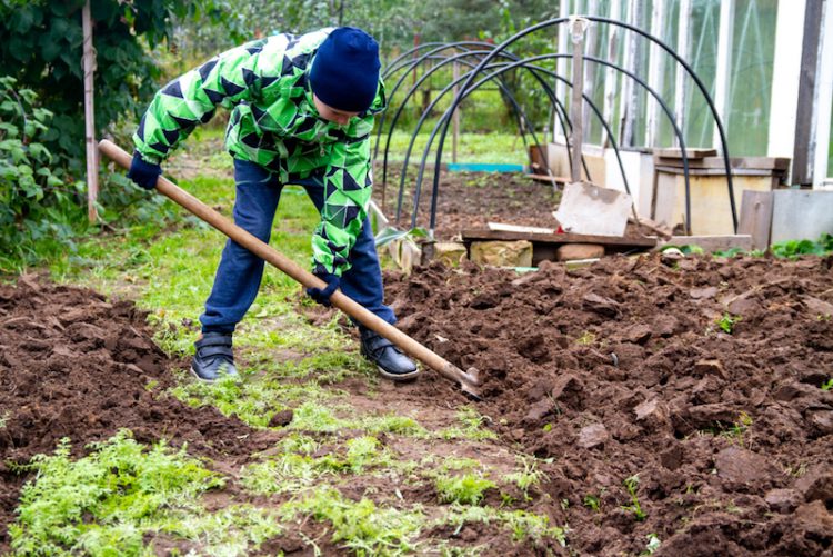 Enfant qui doit s'occuper du jardin en hiver en bêchant la terre.