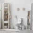 Relooker les WC