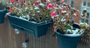balcon hiver