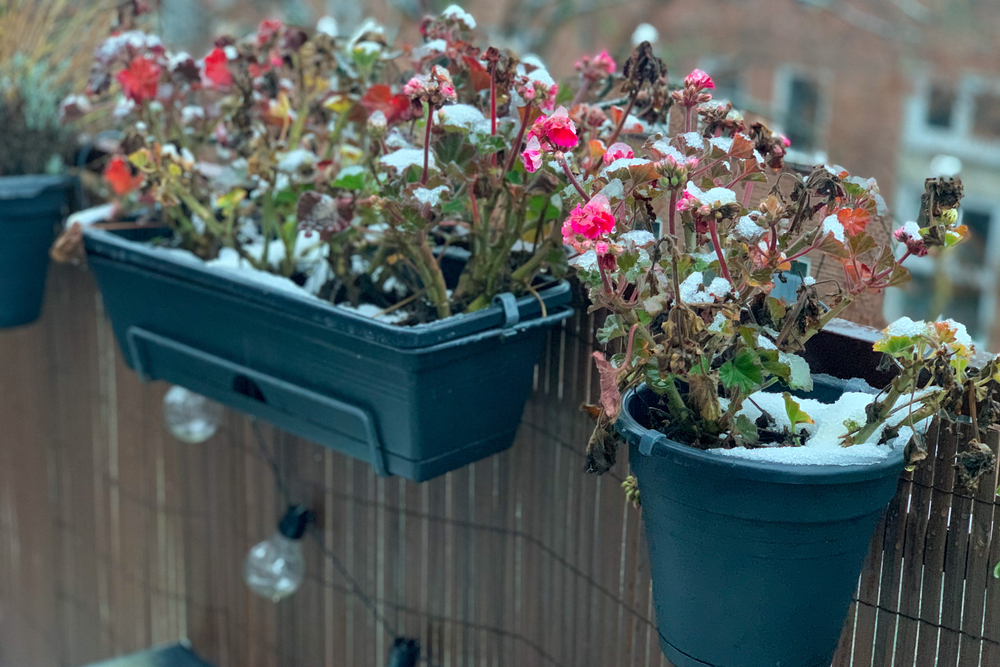 balcon hiver